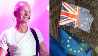 Sting slams Brexit as an 'act of folly' during French TV appearance