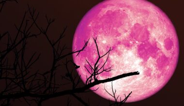 We finally figured out what's inside the Moon