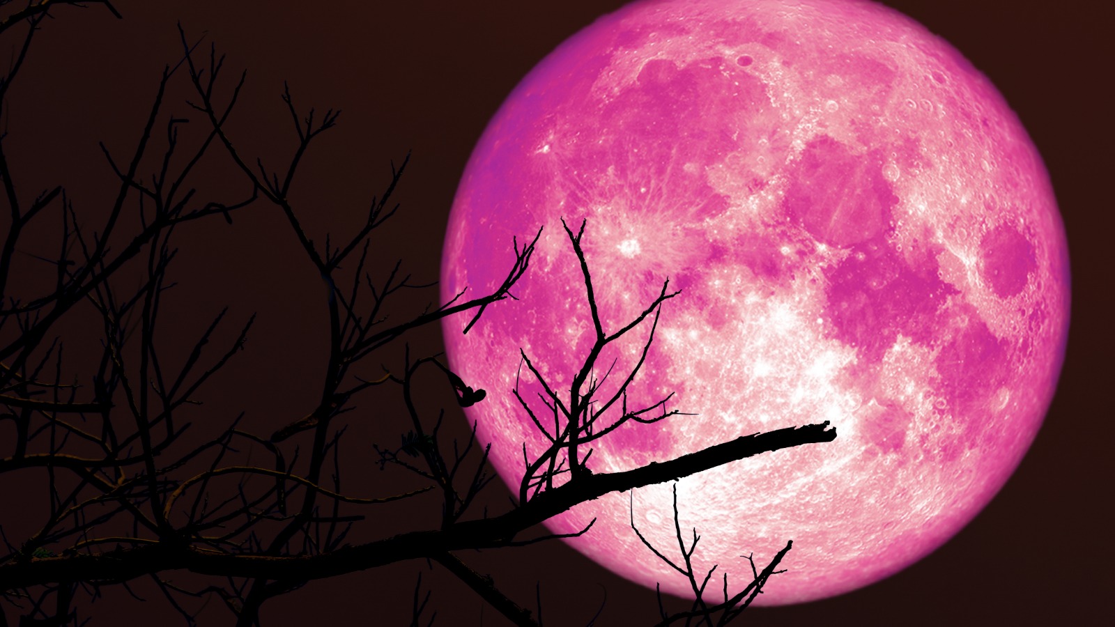 We finally figured out what's inside the Moon