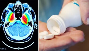 Natural supplement boosts muscle strength and memory