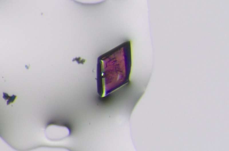 Symmetrical crystals can absorb light asymmetrically