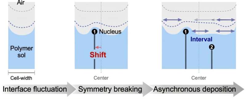 Symmetry breaking in meniscus splitting: Effects of boundary conditions