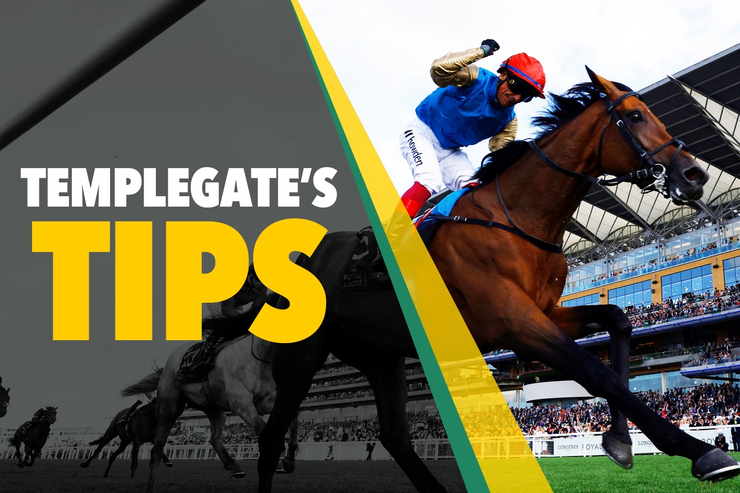 Horse racing tips: 'He won well over C&D last time' - Templegate's NAP can strike again at Windsor