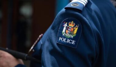 'Employment process' under way for officer who hit his children with belt