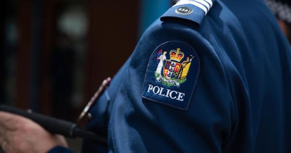 'Employment process' under way for officer who hit his children with belt