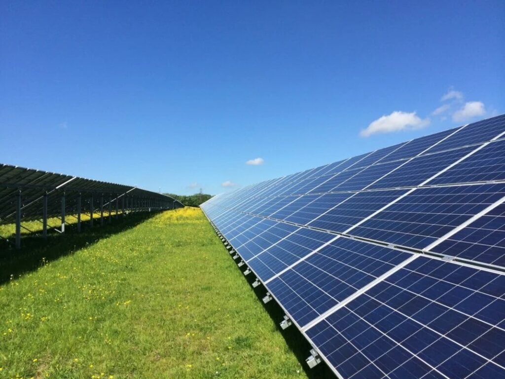 solar PV cells in a field