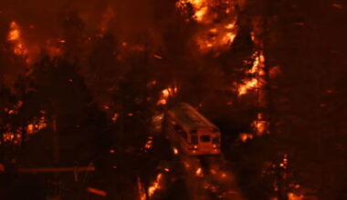 Trailer: Greengrass & McConaughey's "Lost Bus"