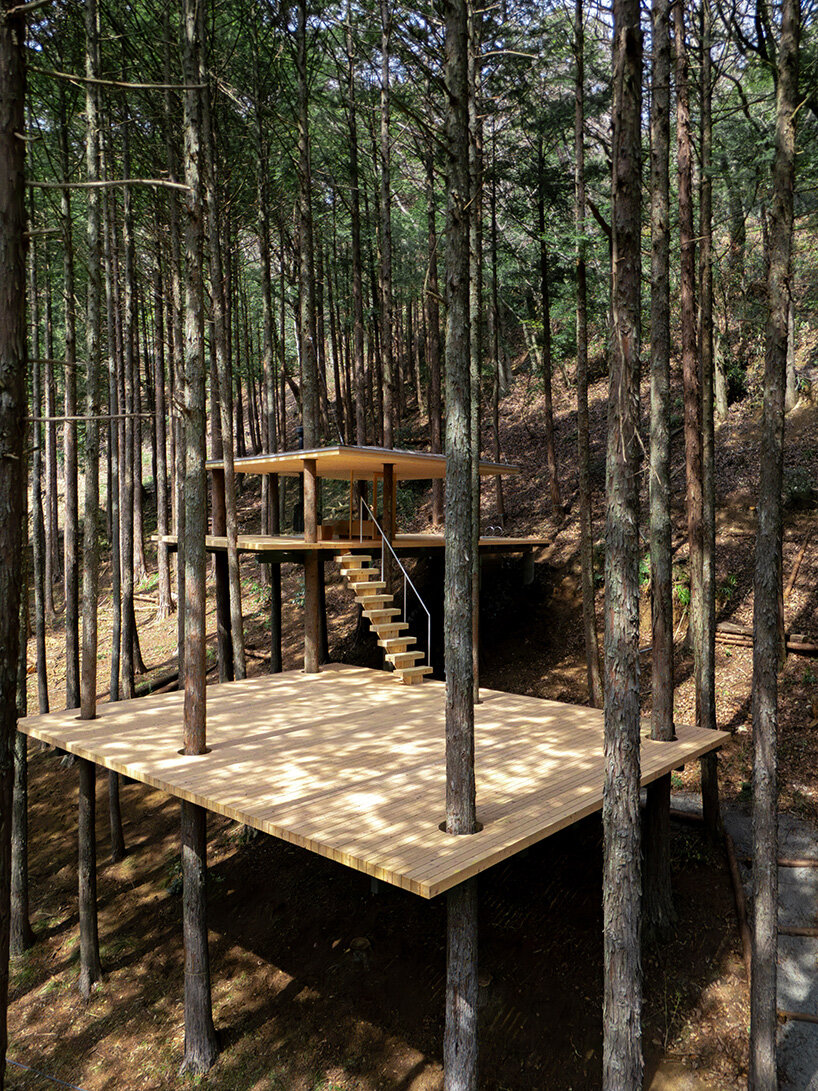 tree trunks pierce through sauna shelter by DAICHI in japanese forest