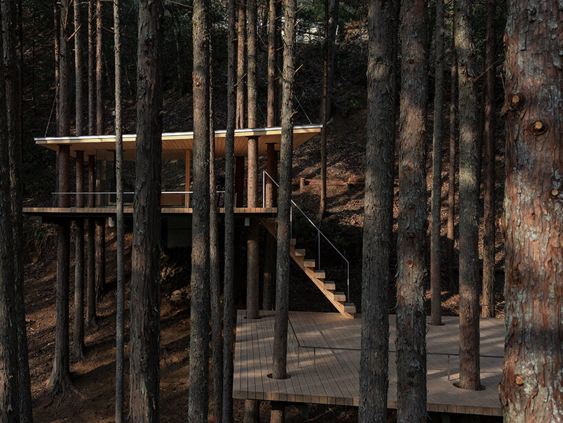 tree trunks pierce through sauna shelter by DAICHI in japanese forest