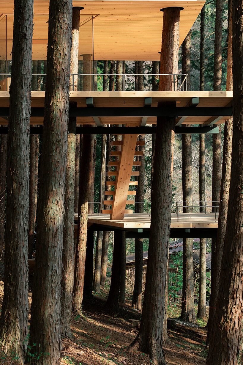 tree trunks pierce through sauna shelter by DAICHI in japanese forest