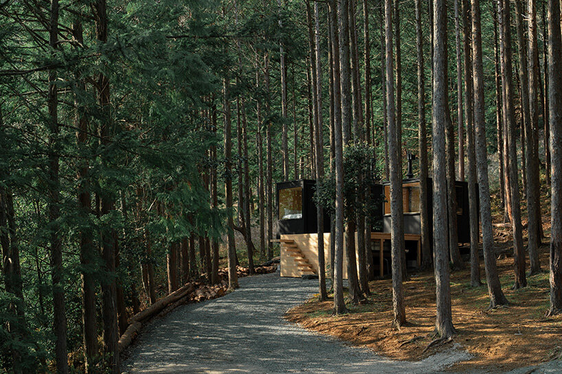 tree trunks pierce through sauna shelter by DAICHI in japanese forest