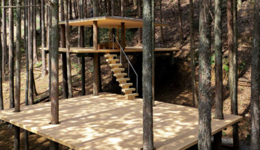 tree trunks pierce through sauna shelter by DAICHI in japan
