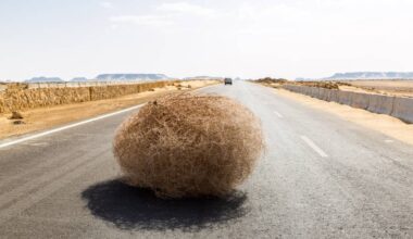 AI search finds publishers starved of referral traffic • The Register