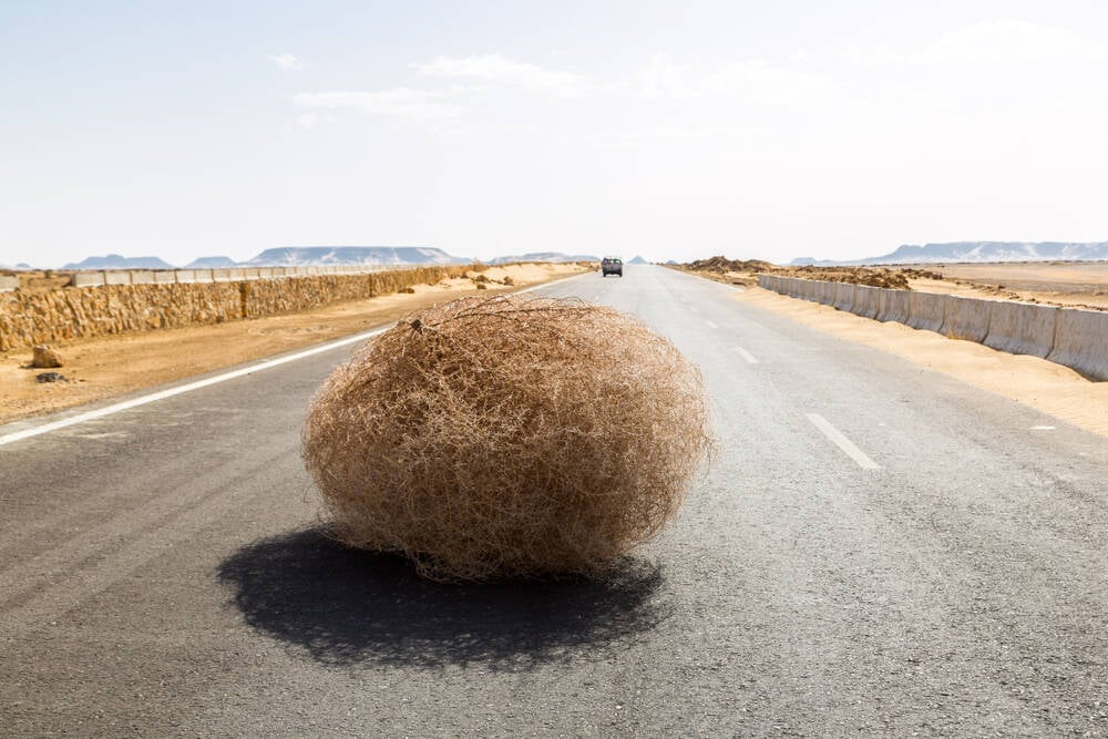 AI search finds publishers starved of referral traffic • The Register