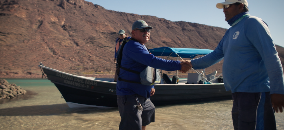 \u200b The Royal Foundation