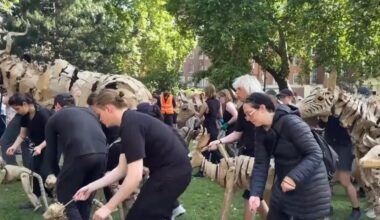 Here come The Herds - cardboard animals move through London for climate awareness