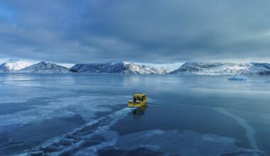 France's president will visit Greenland in a show of EU unity, Danish leader says