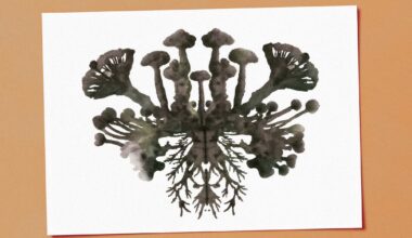 What is a mushroom really? Two supplement titans duke it out
