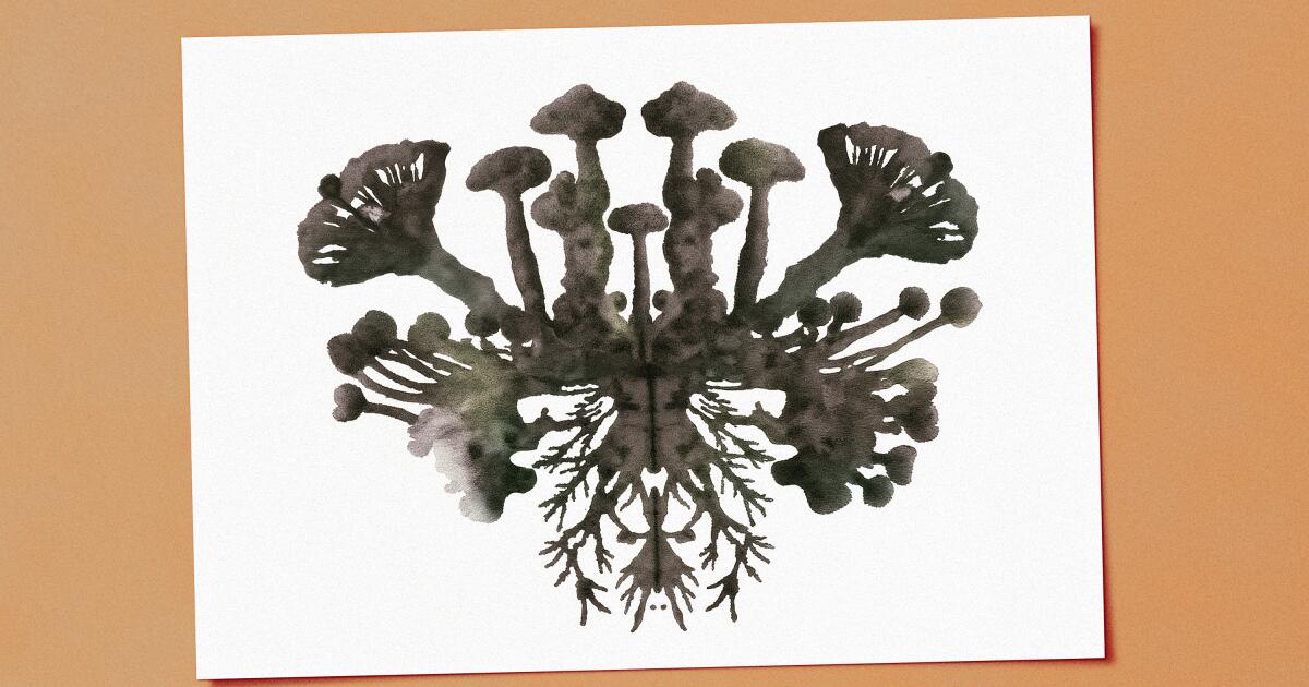 What is a mushroom really? Two supplement titans duke it out