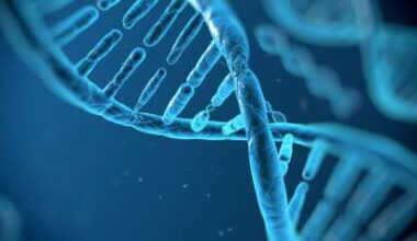 Genetic testing: the future for Bermuda’s sports stars - The Royal Gazette