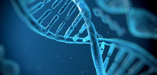 Genetic testing: the future for Bermuda’s sports stars - The Royal Gazette