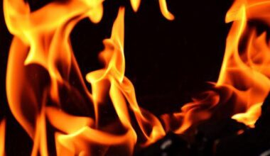 Fires break out and most of France put on heatwave alert
