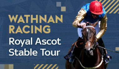Wathnan Racing Stable Tour | Ascot