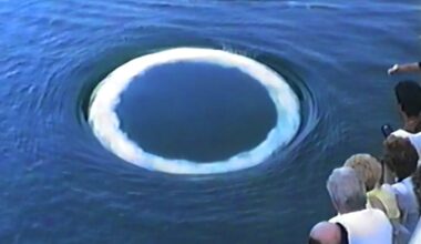 a group of people watch a white ring appear in the ocean
