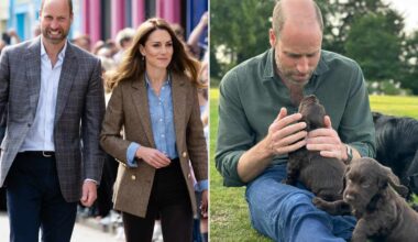 Kate Middleton and Prince William's Plans for Puppies Revealed amid Criticism