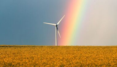 Wind power producers turn against photovoltaic expansion