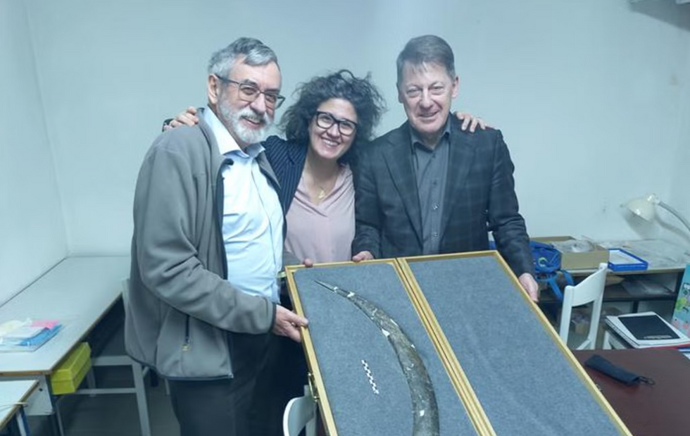 World's oldest boomerang