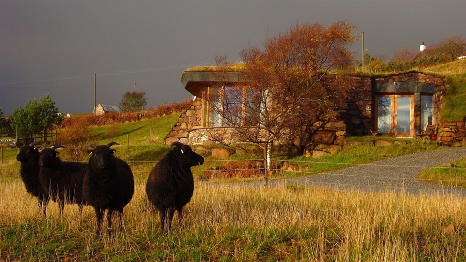 Three black sheep in front of a stone house with a grass roof.