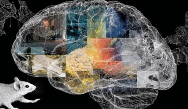 Neuroscience News logo for mobile.