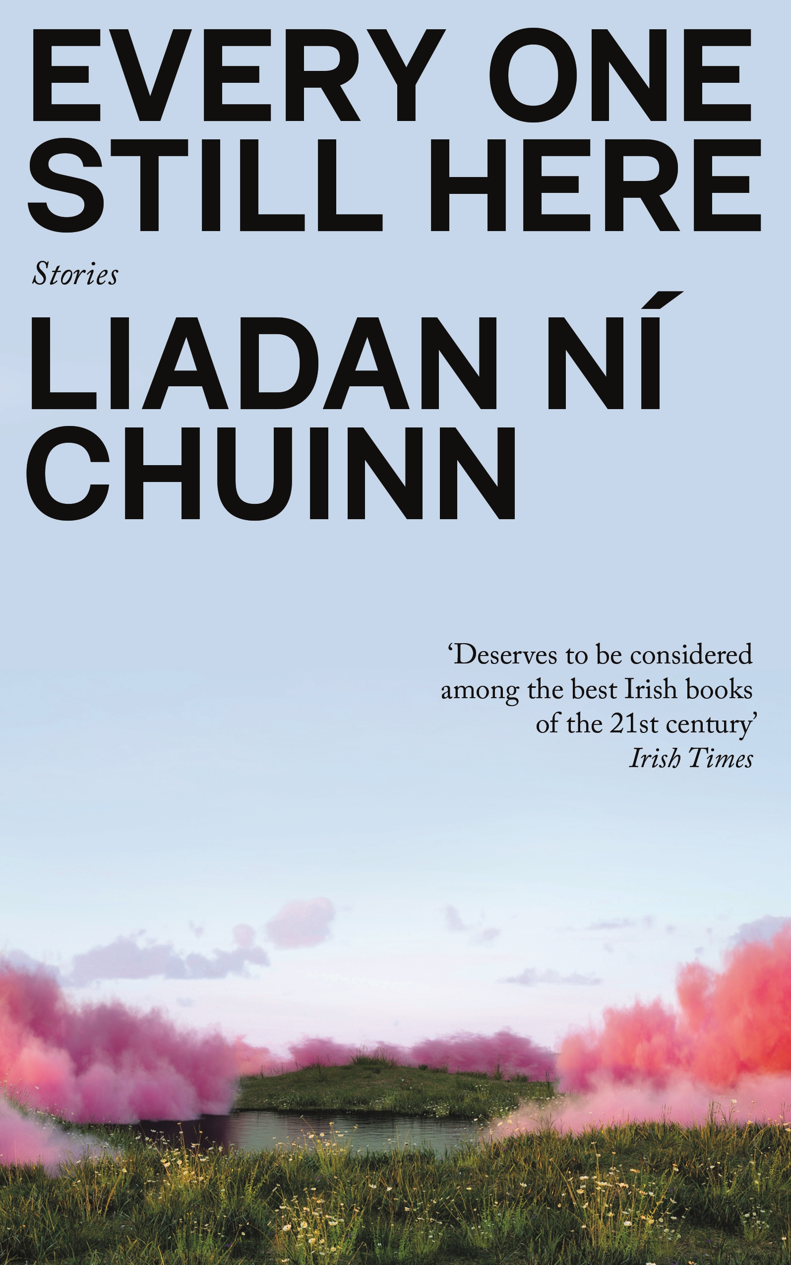 Book cover for Liadan Ni Chuinn's *Every One Still Here*.