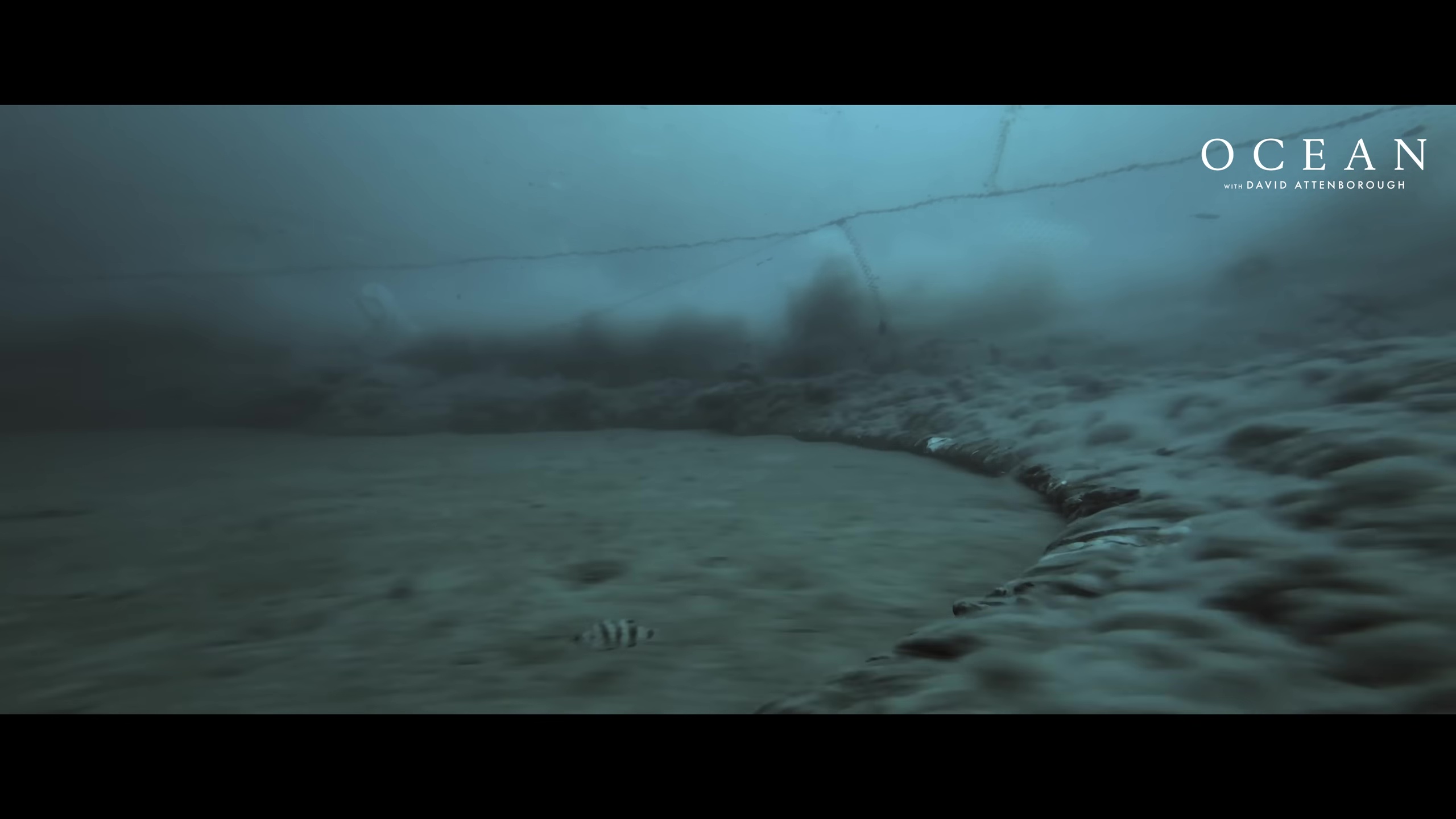Ocean with David Attenborough: bottom trawling footage.