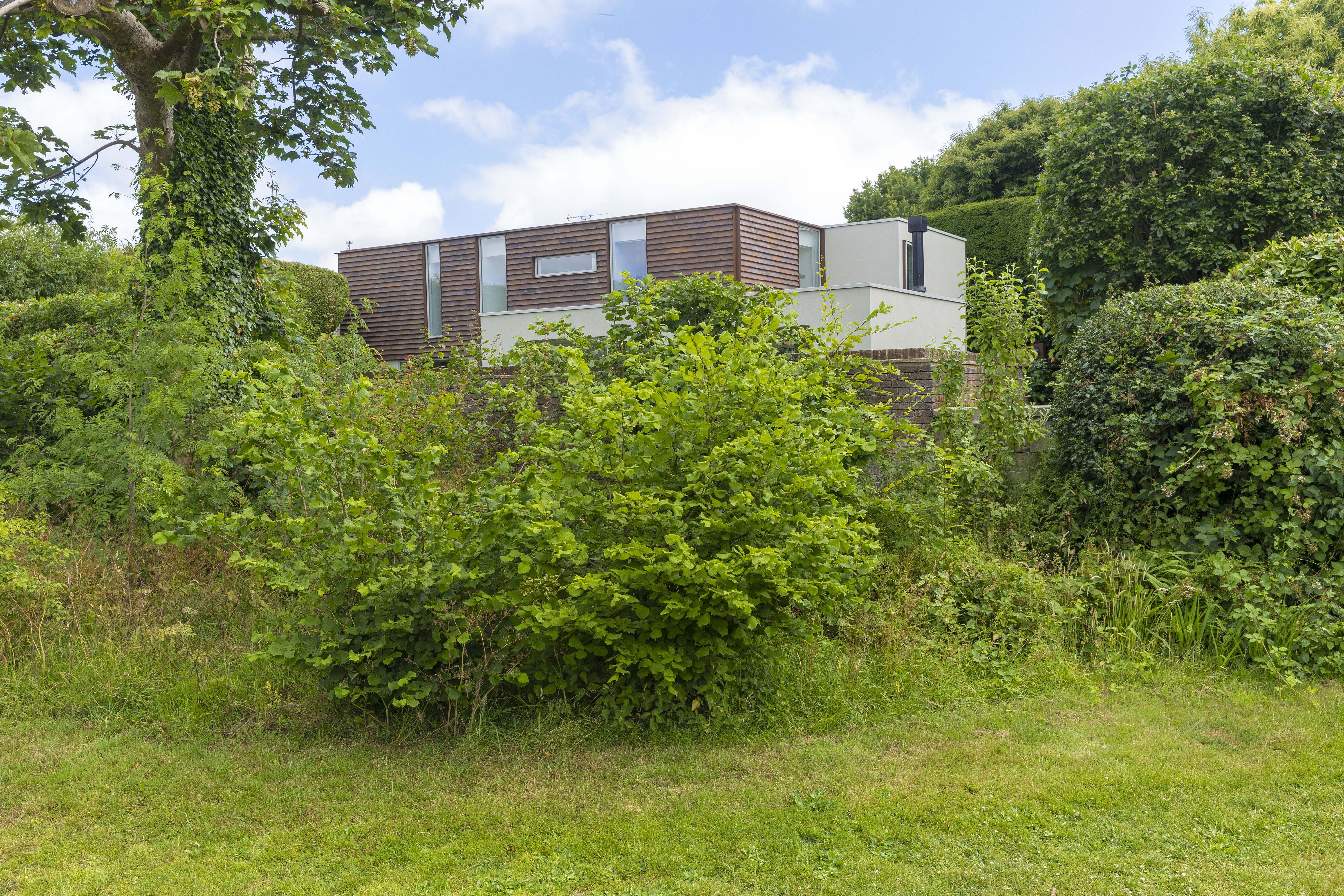 Modern home partially obscured by overgrown vegetation.
