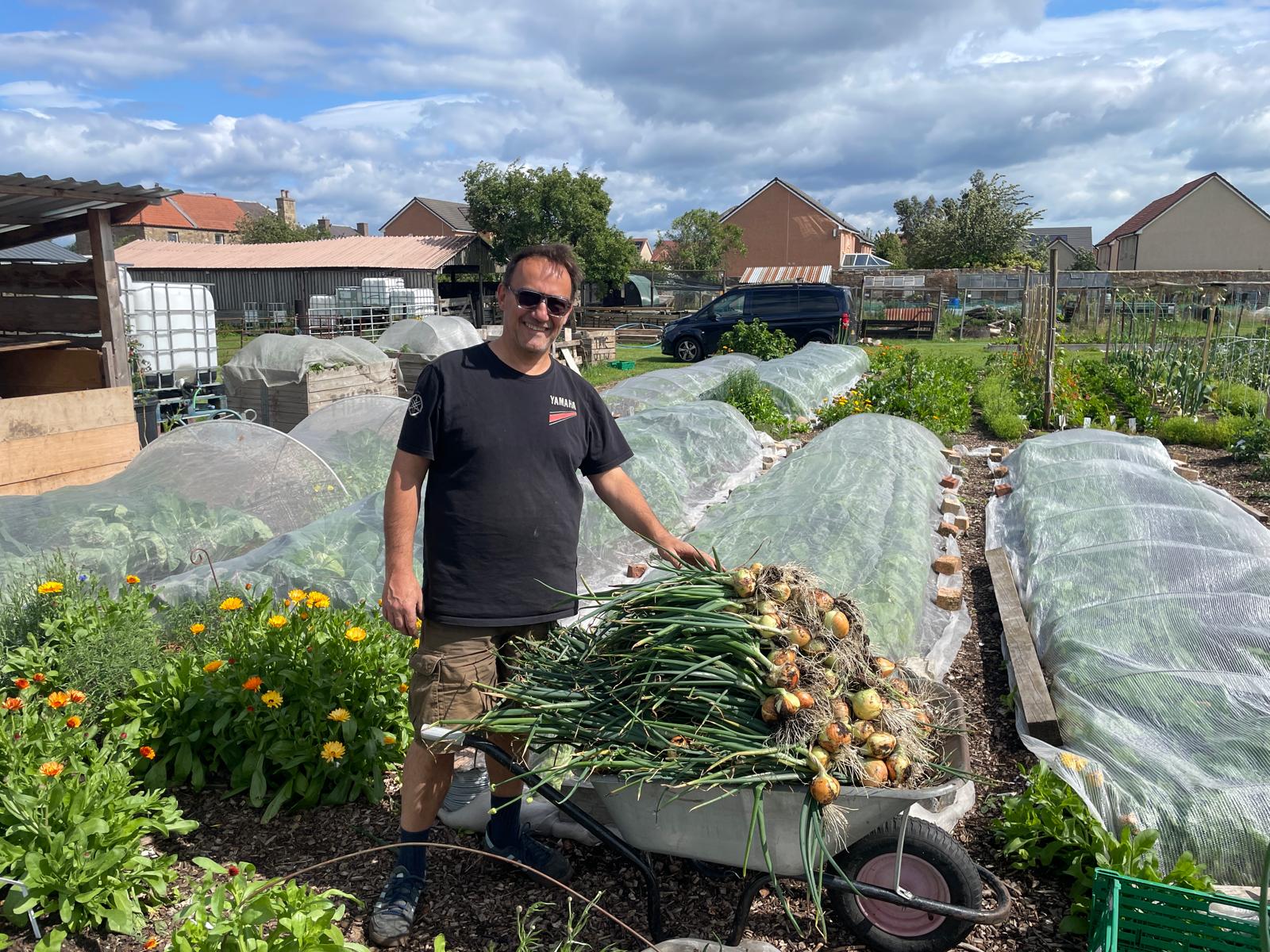 Man standing in a garden with a wheelbarrow full of onions.