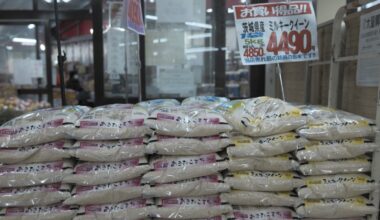 Japan rice prices soar again in June, jumping by 99%