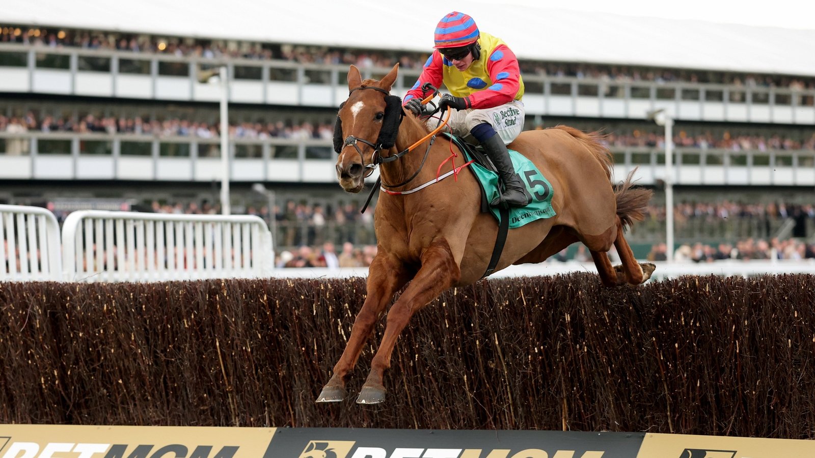 Collins backs Cobden to get tune out of Jazzy Matty
