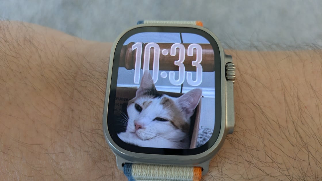 Apple's watchOS 26 Beta Makes the Cat Pics on My Watch Face Look Even Cuter