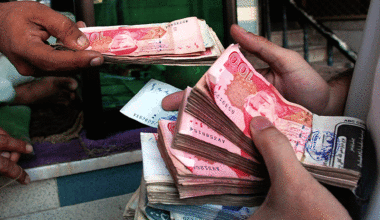 Govt debt swells 12pc since last year - Pakistan