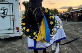 Gio Cash joins the $1 million MGM Yonkers International Trot field – U.S. Trotting News