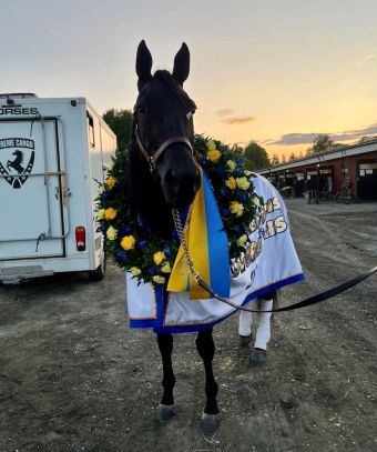Gio Cash joins the $1 million MGM Yonkers International Trot field – U.S. Trotting News