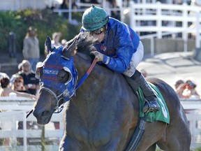 Jockey