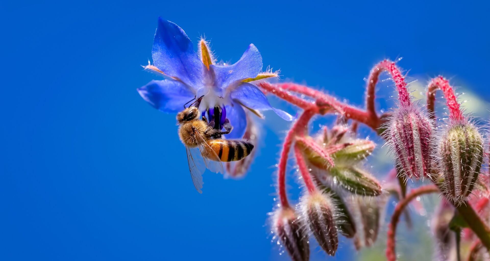 Bolster the EU sustainable finance framework to boost nature funds