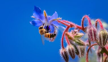 Bolster the EU sustainable finance framework to boost nature funds
