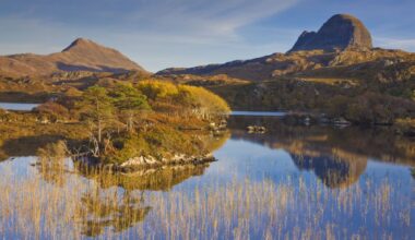 Thousands of acres of new native woods planned for Highlands community estate