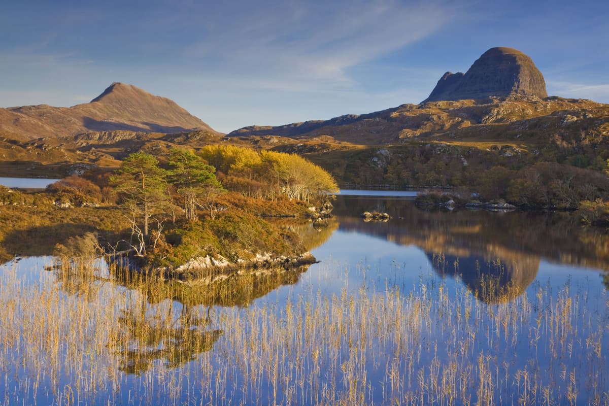 Thousands of acres of new native woods planned for Highlands community estate