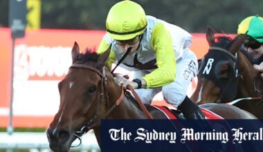 Warwick Farm trainer Matt Smith believes the stars are aligning for World Alliance at Rosehill on Saturday