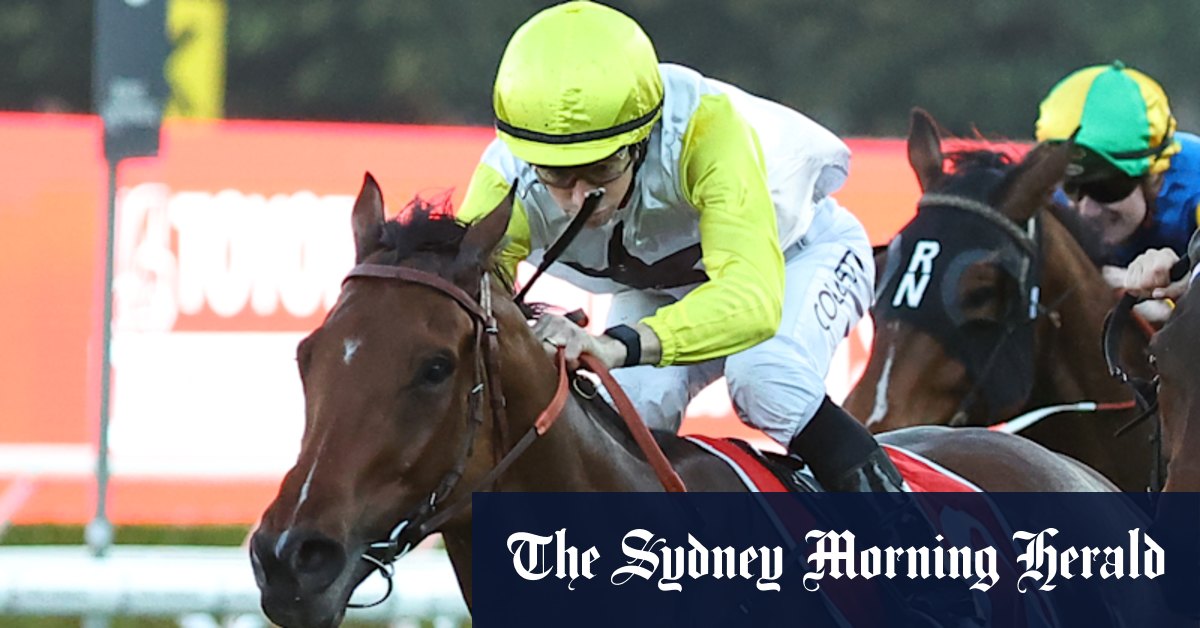 Warwick Farm trainer Matt Smith believes the stars are aligning for World Alliance at Rosehill on Saturday